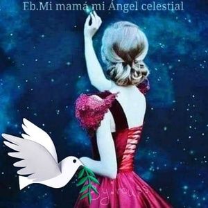 Meet your Posher, Lucero